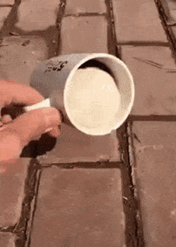 17552292390184.gif