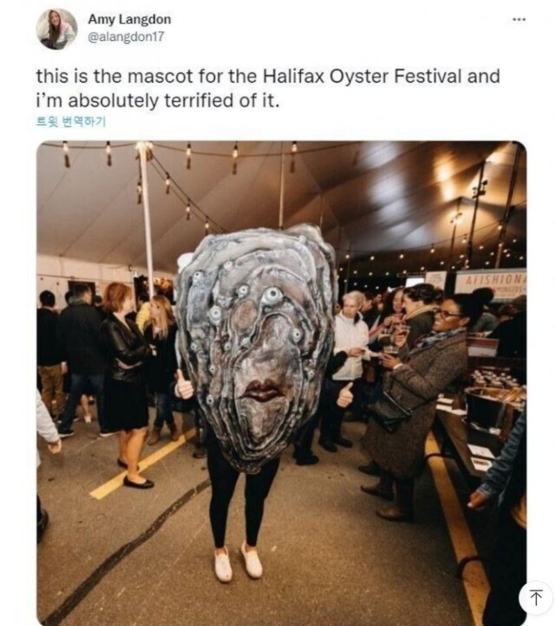 17552294618093.jpg