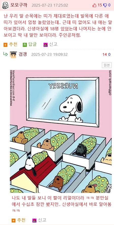 17552298902682.png