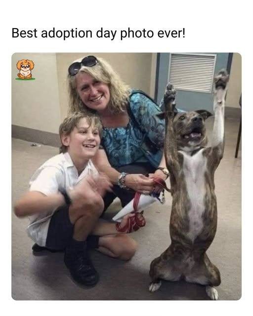 17552303459019.jpg