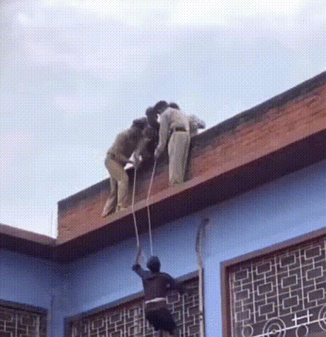 17552310206718.gif