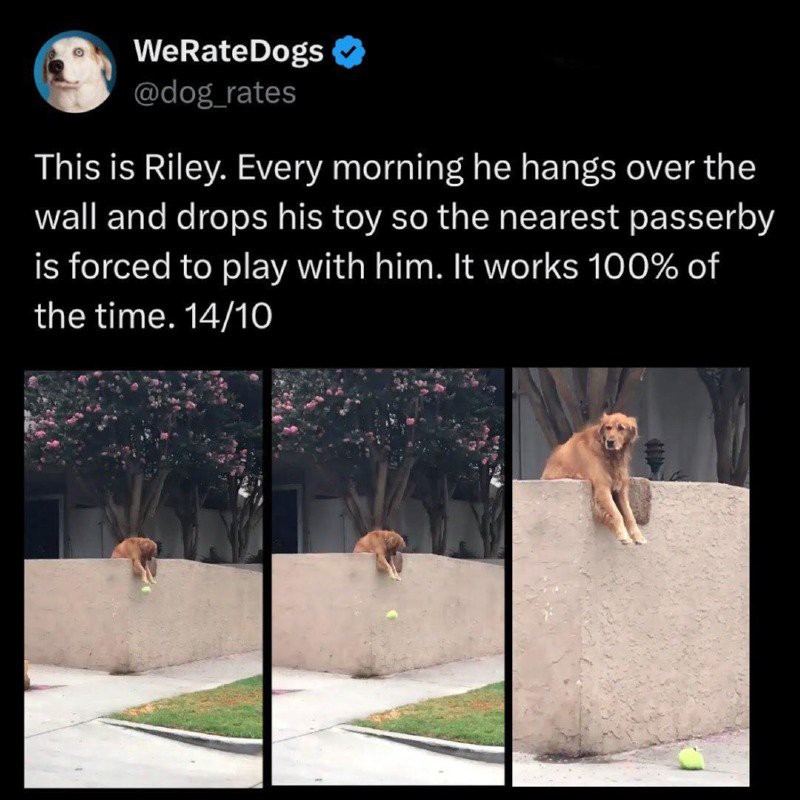 17552312455411.jpg