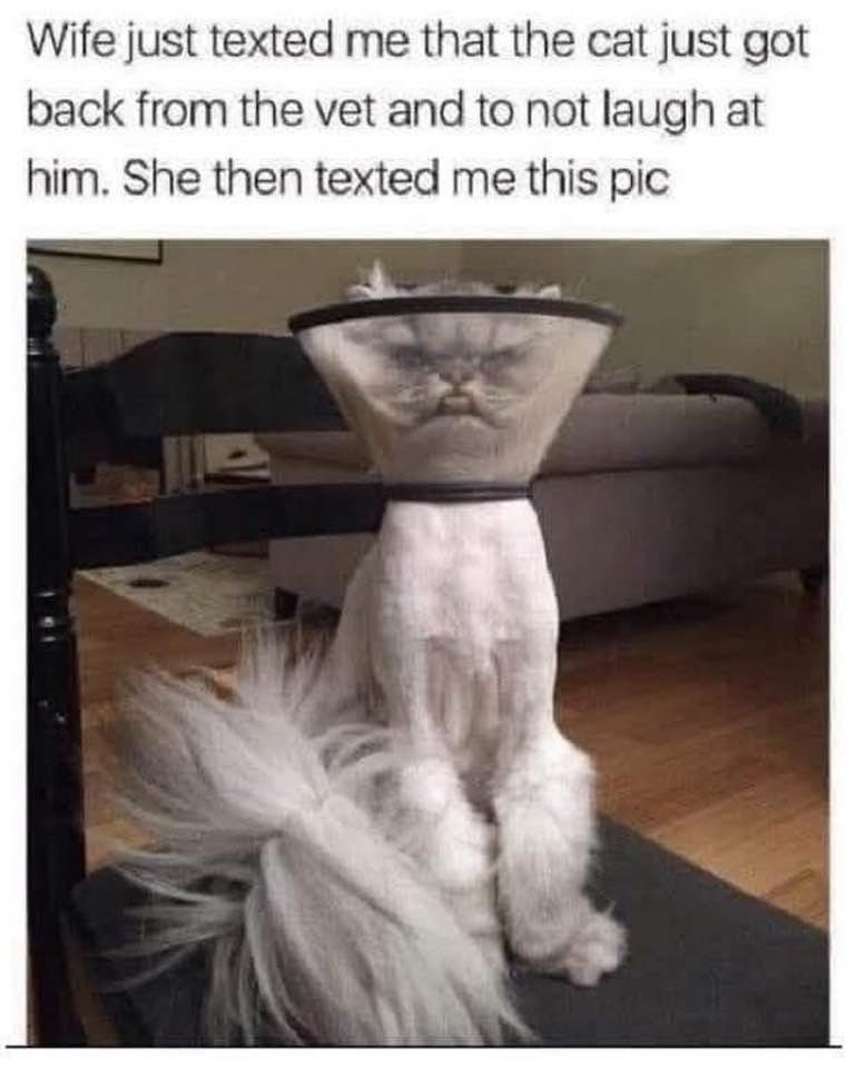 1755231322138.jpg