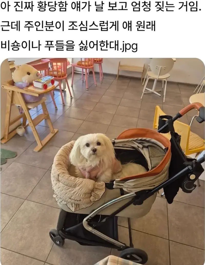 1755231568678.jpg