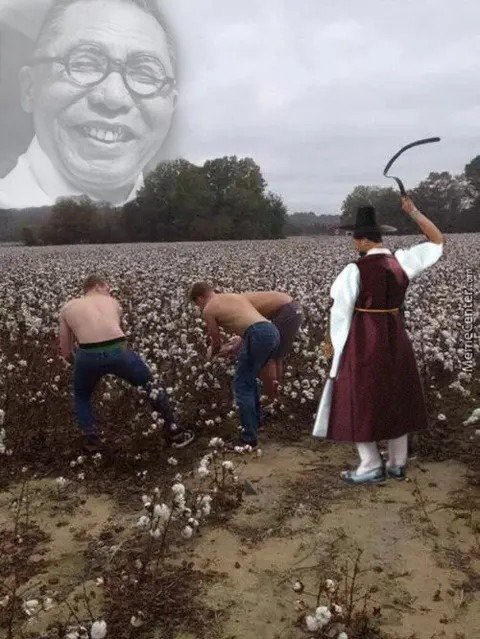 17552317972975.jpg