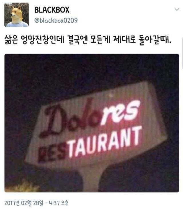 17552319954656.jpg