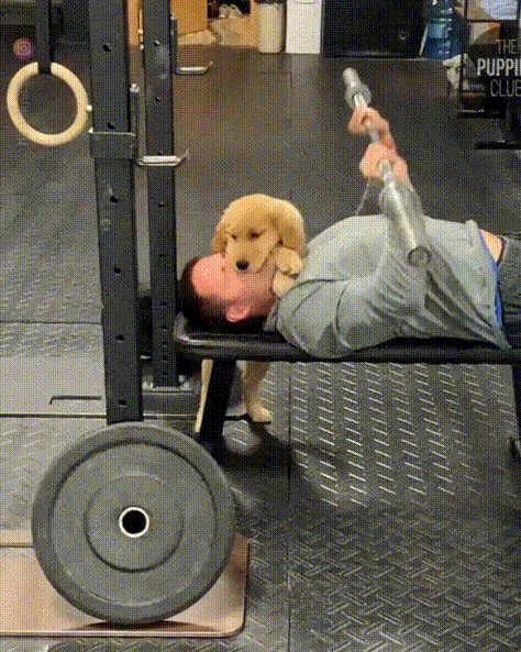 1755232649009.gif