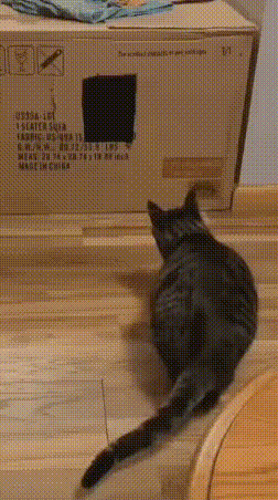 17552327272.gif