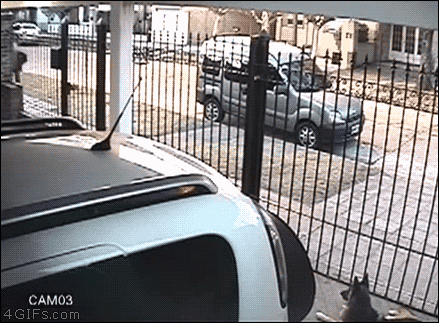 17552328000269.gif
