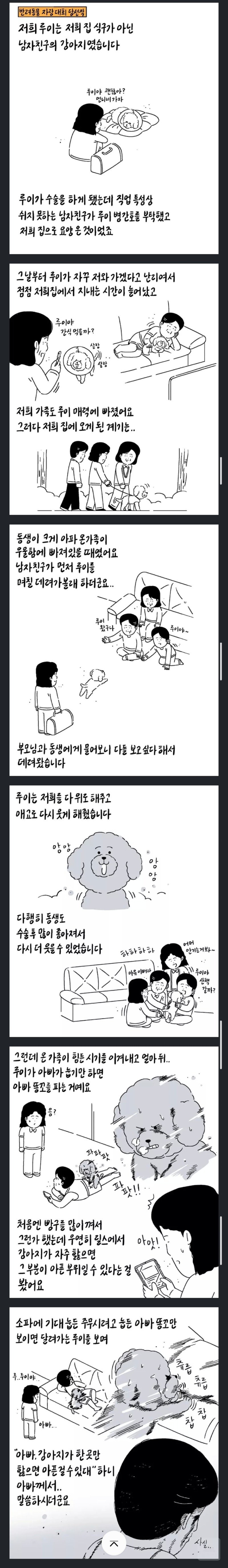 17552328388637.jpg