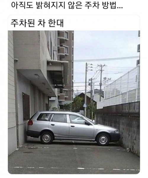 17552721435393.jpg