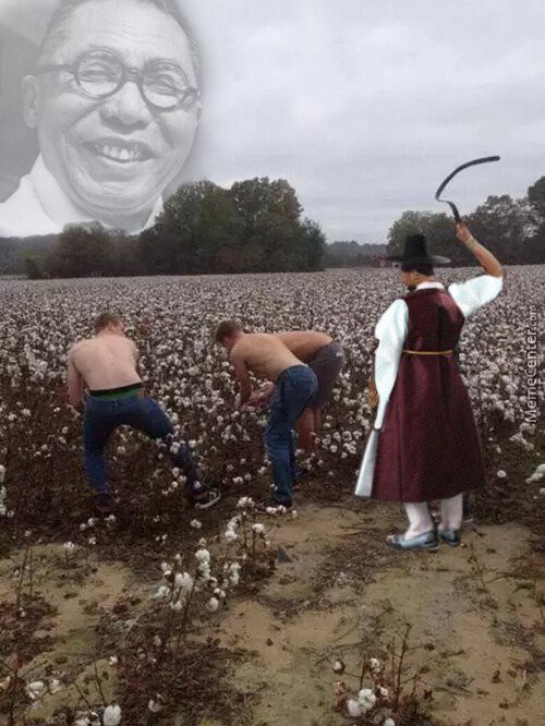 17557683942384.jpg